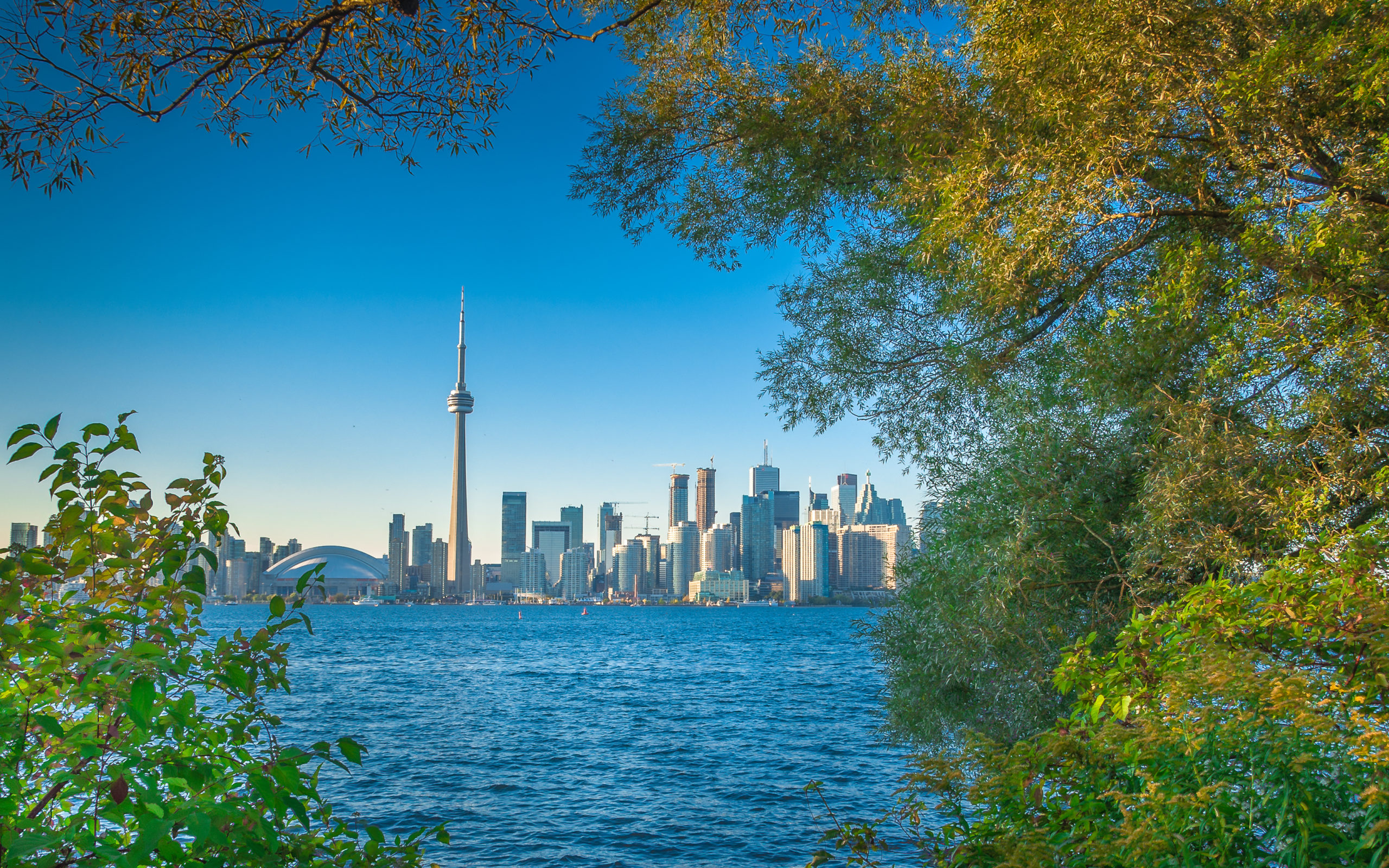 Early autumn scenery in Toronto, Canada