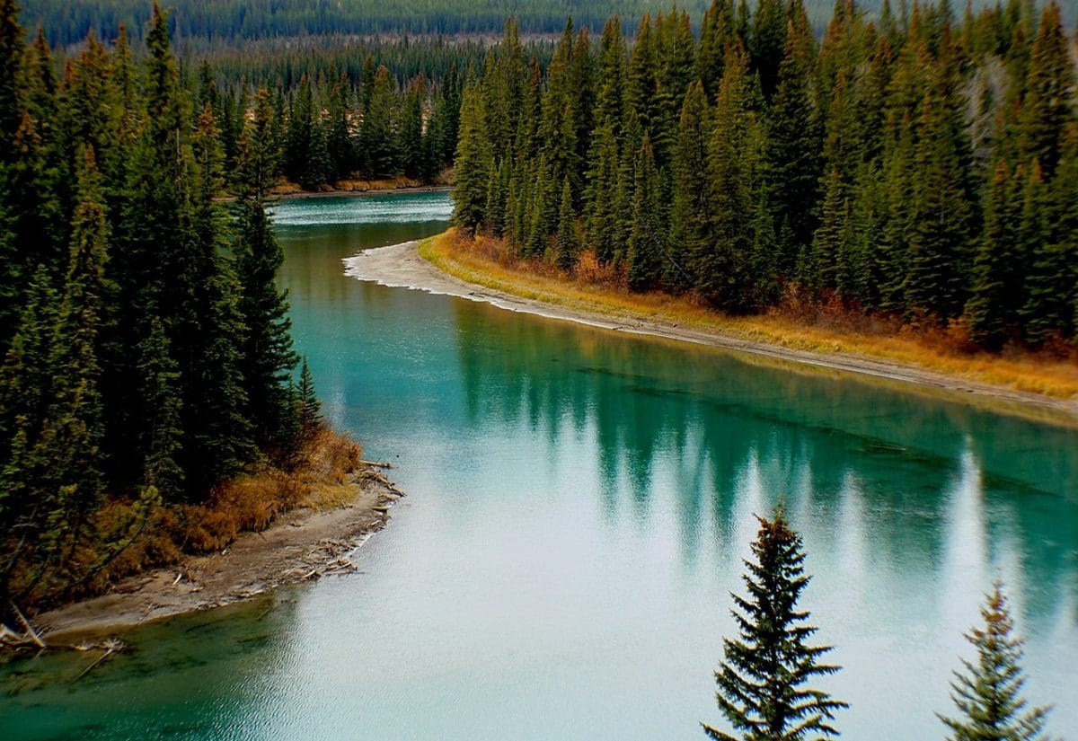 Canada welcomed 13,645 new permanent residents in July 2020.