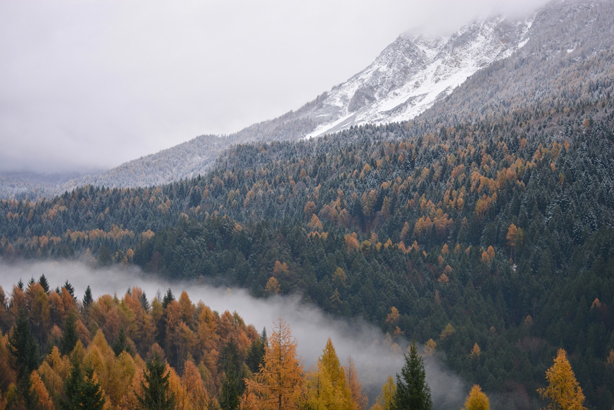 B.C. in autumn