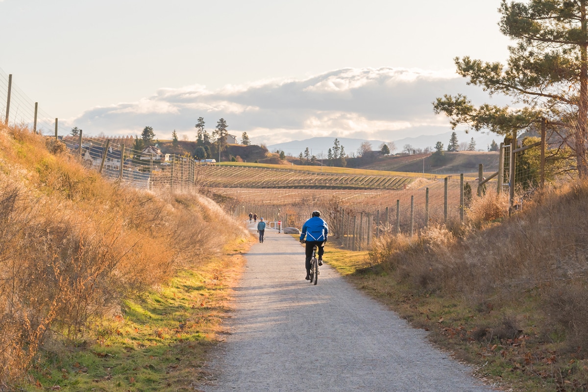 Cyclists on a rural B.C. road in the fall