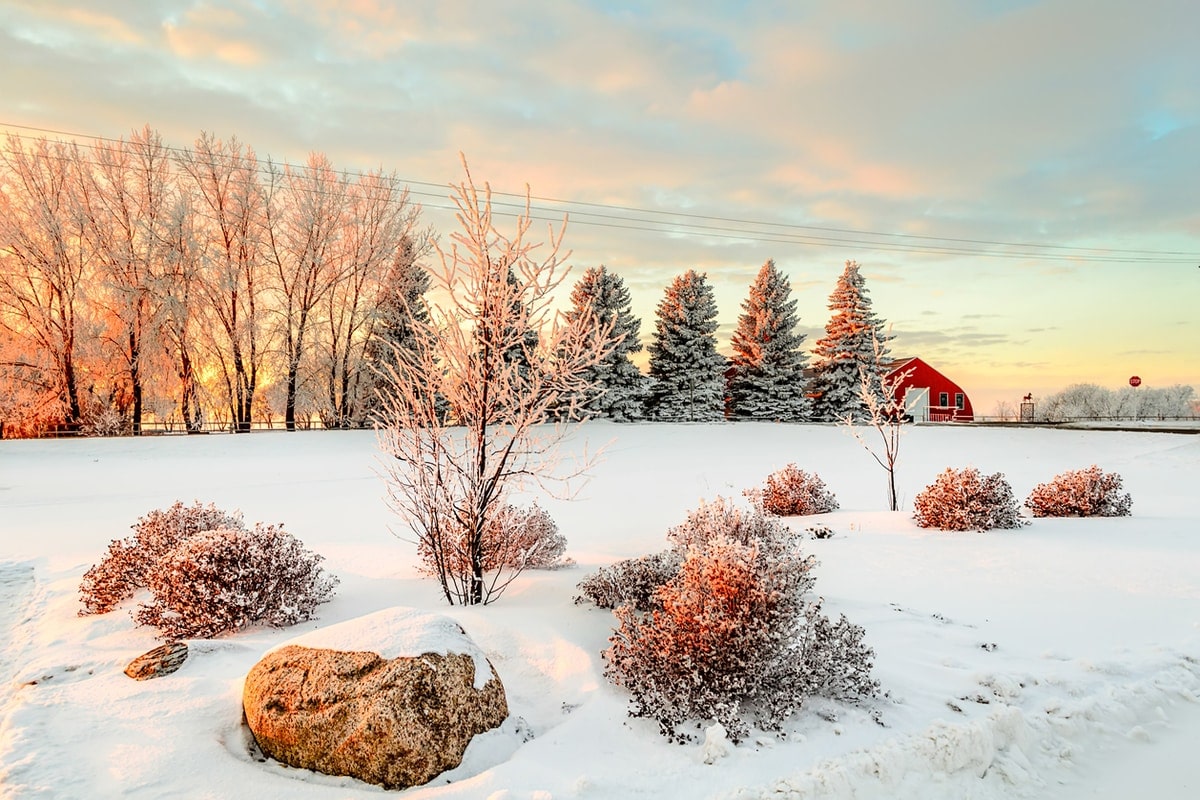 Saskatchewan landscape