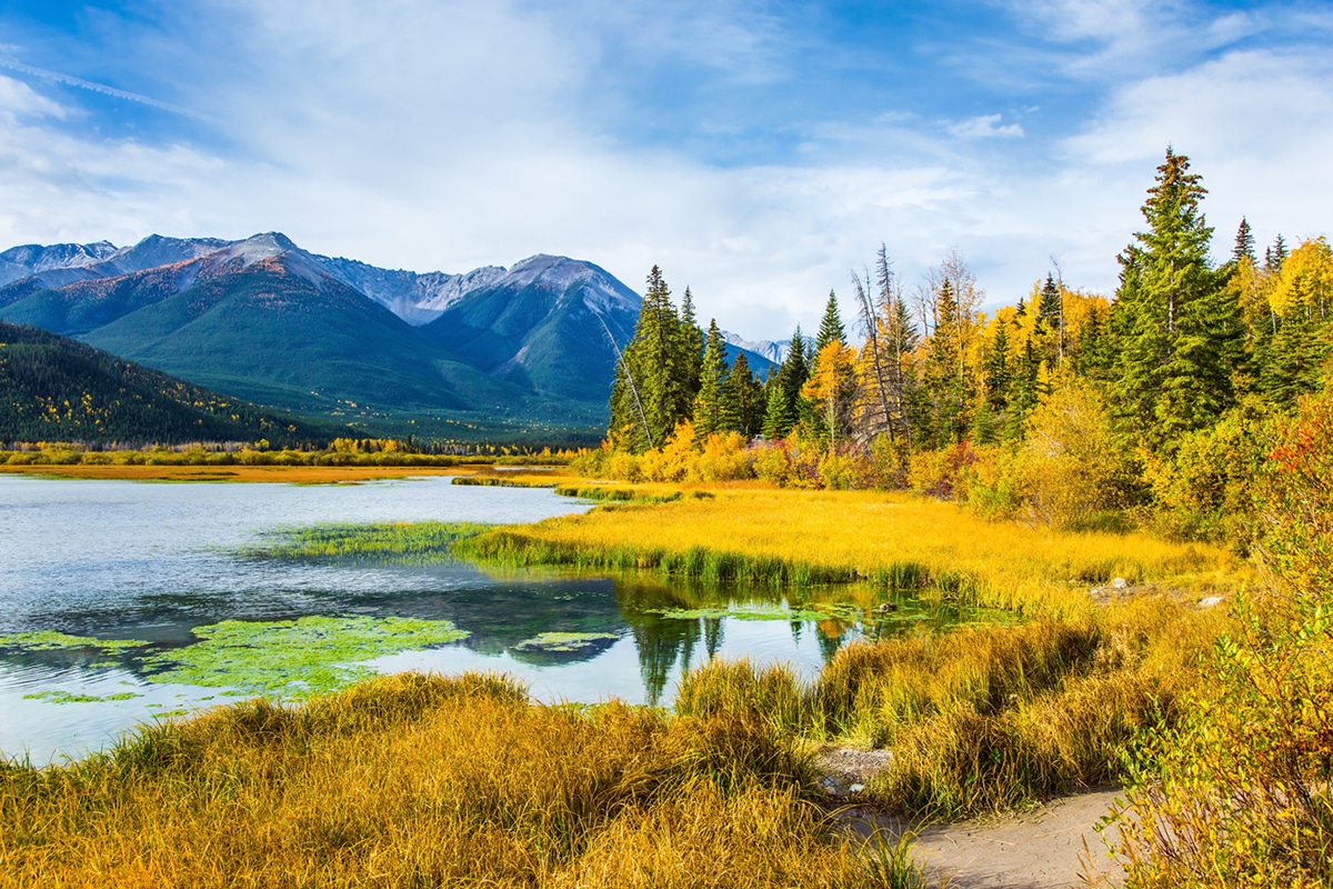 Alberta mountains