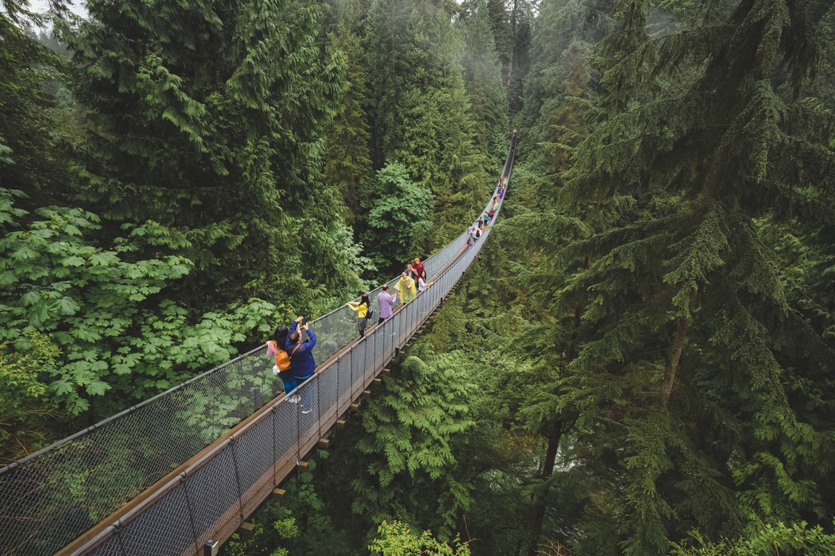 Forest walk in B.C.