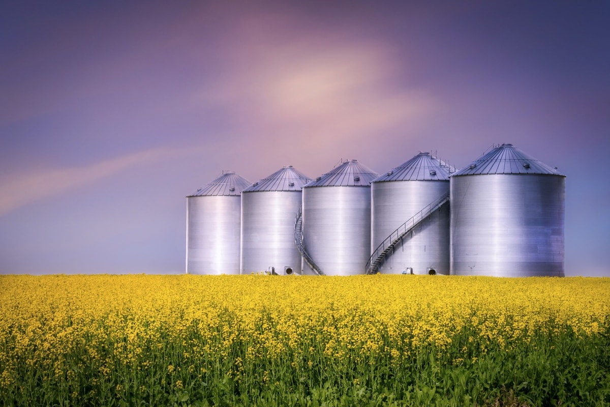 Fields in Saskatchewan