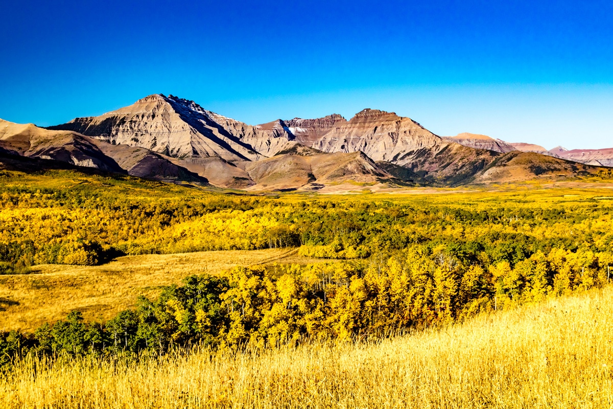 Alberta landscape
