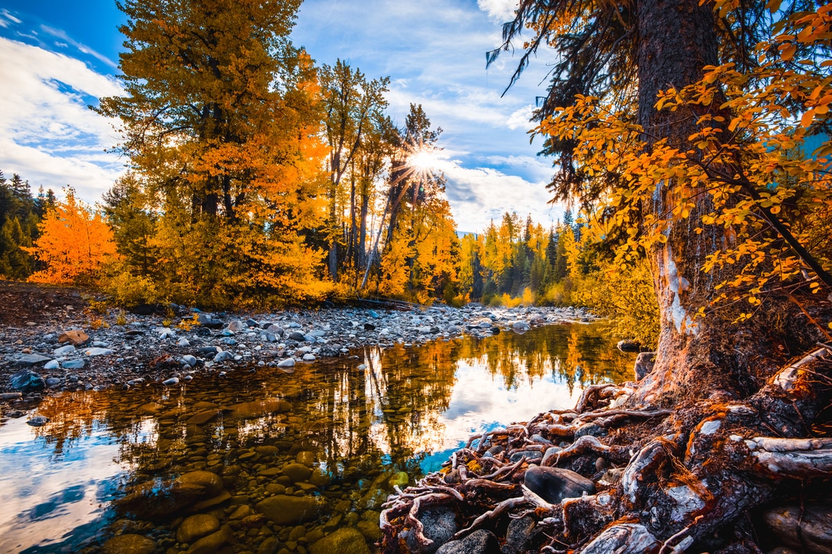 B.C. landscape