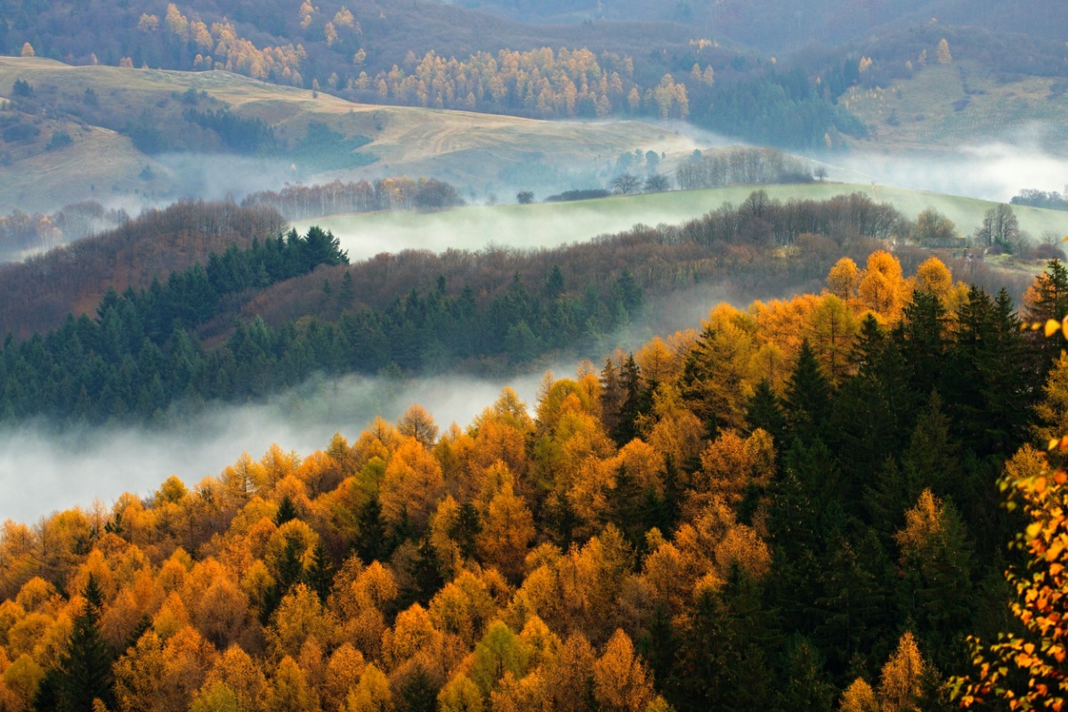 Canadian landscape in the fall