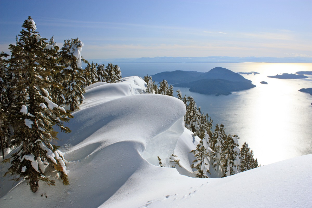 Canada winter landscape