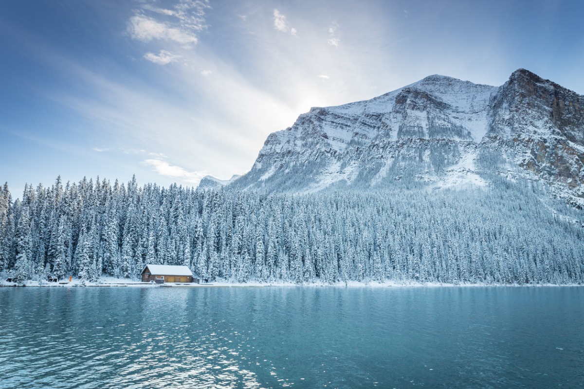 Canadian winter landscape