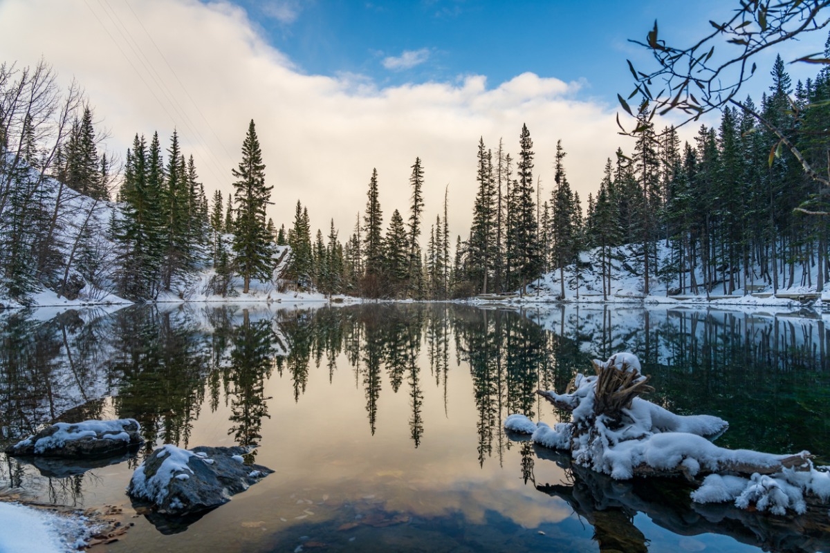 Reflection of trees and mountains on a lake