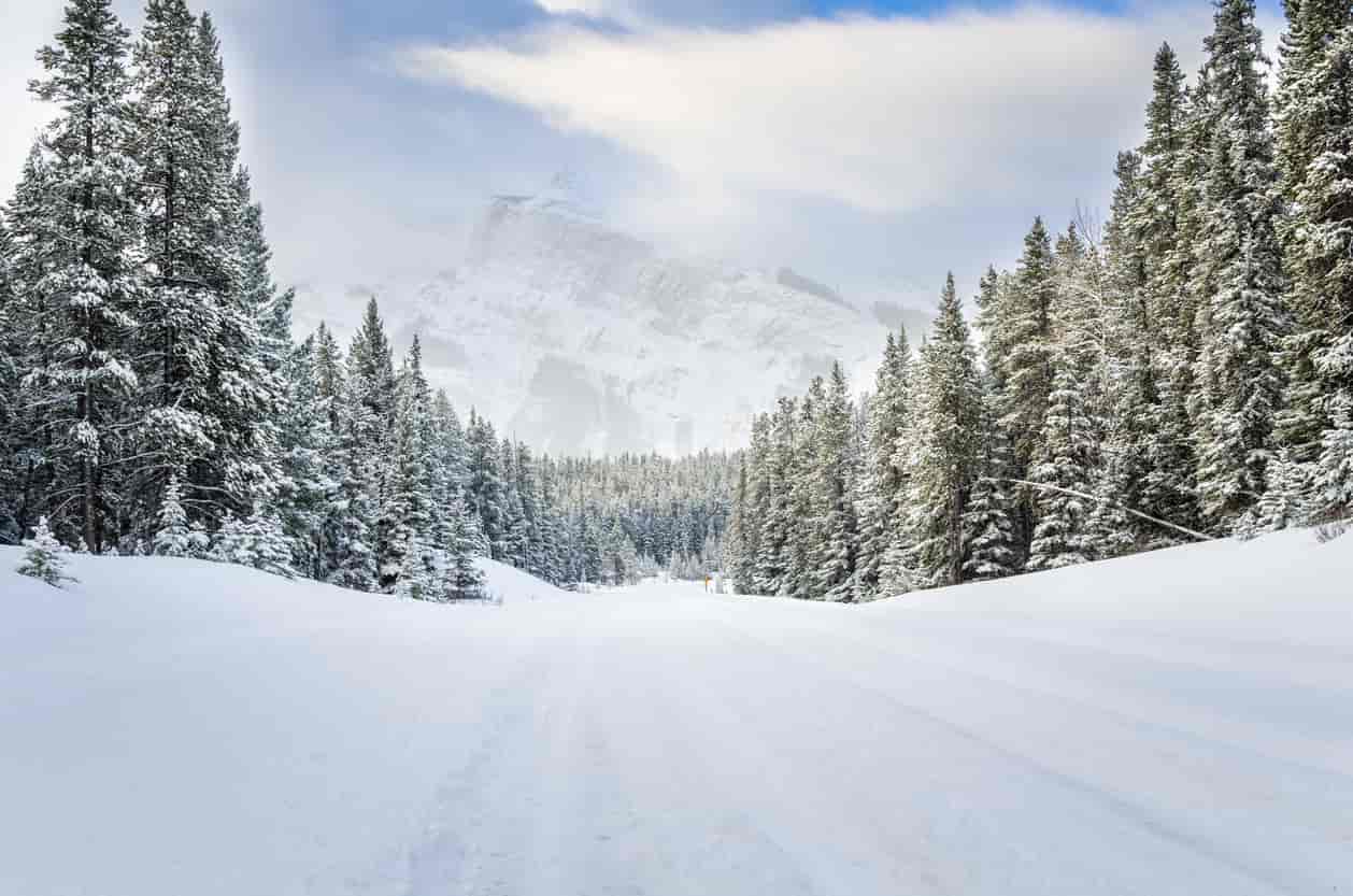 Canada immigration for november 2021