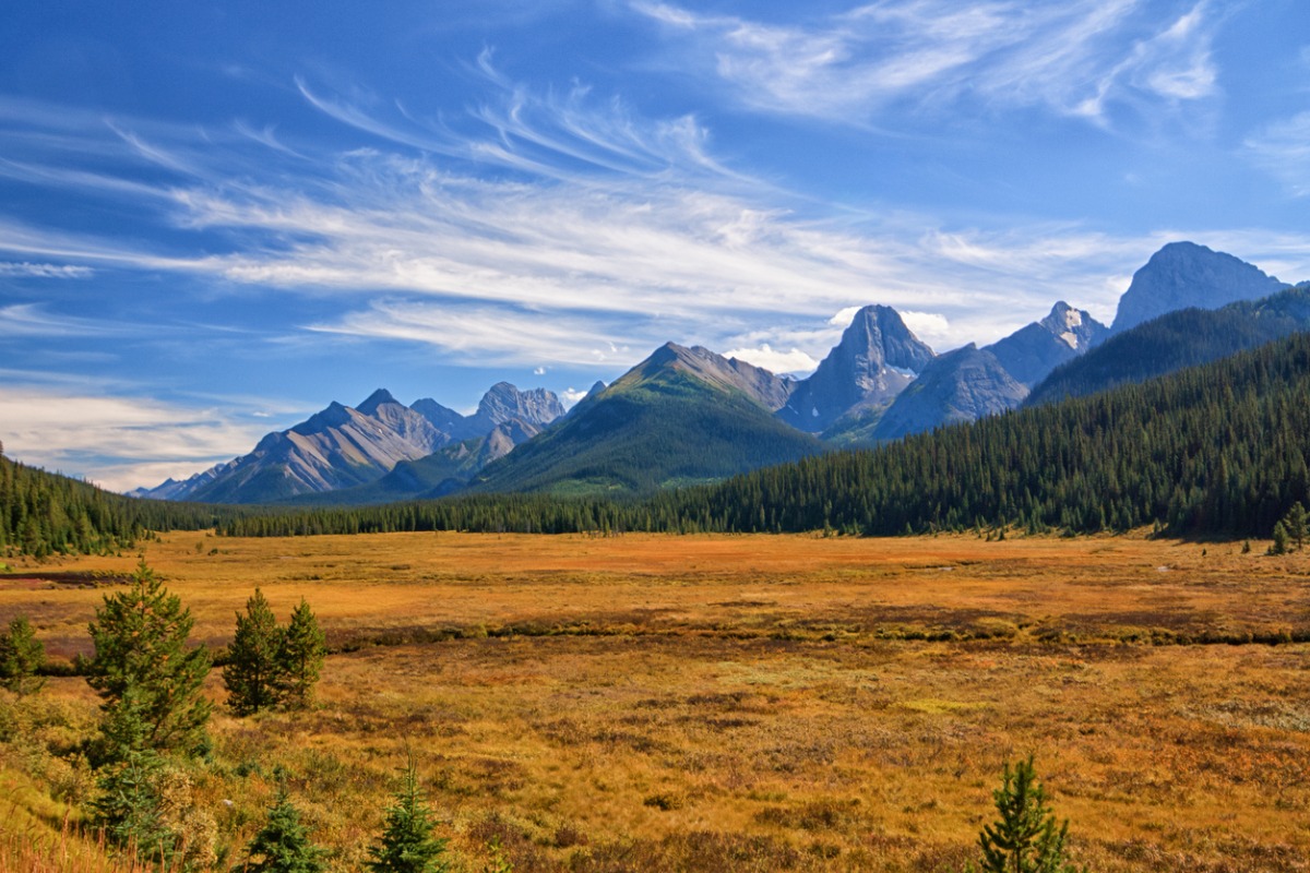 Alberta landscape