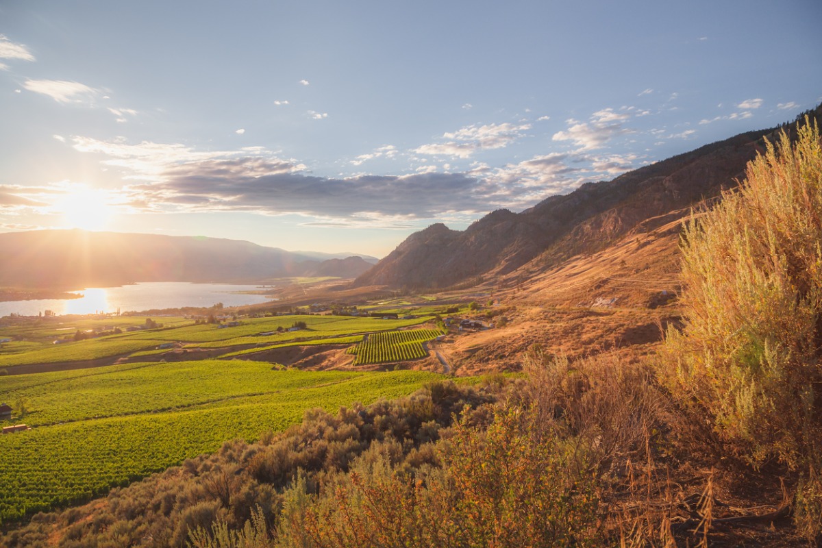 Canada landscape in the Okanagan Valley.