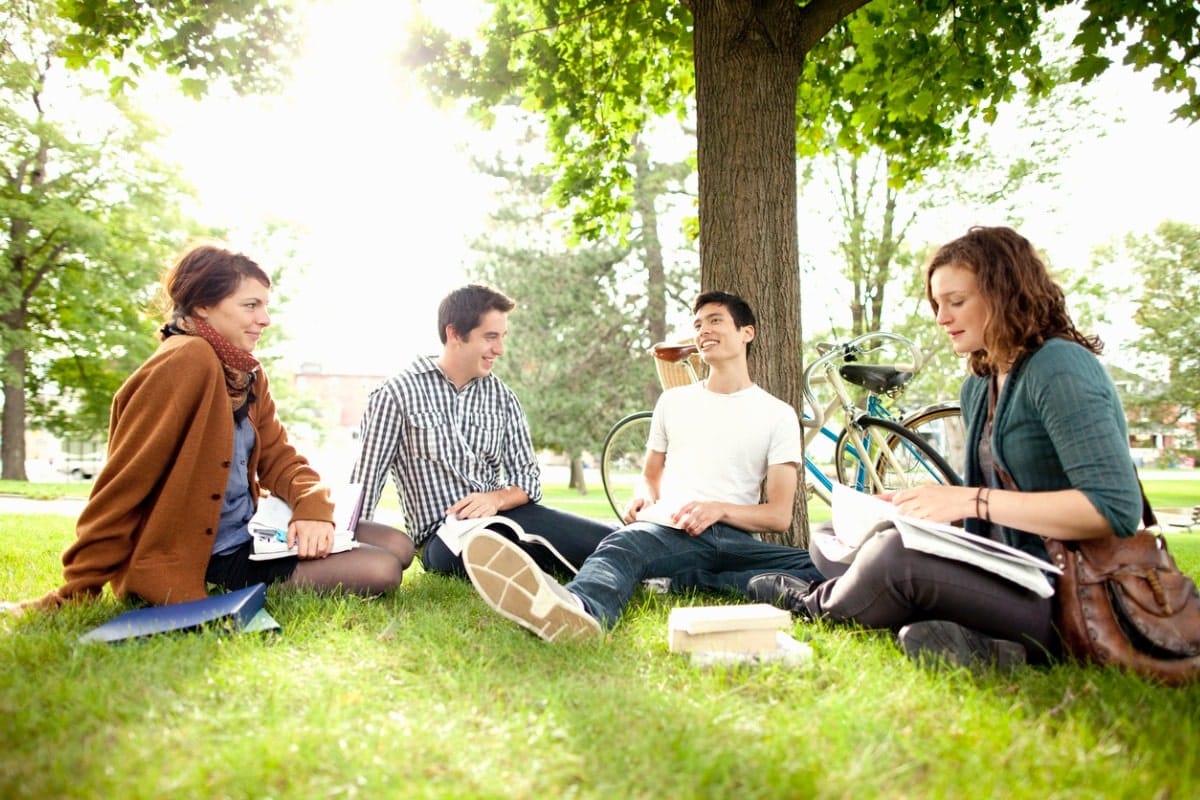 Students studying outside