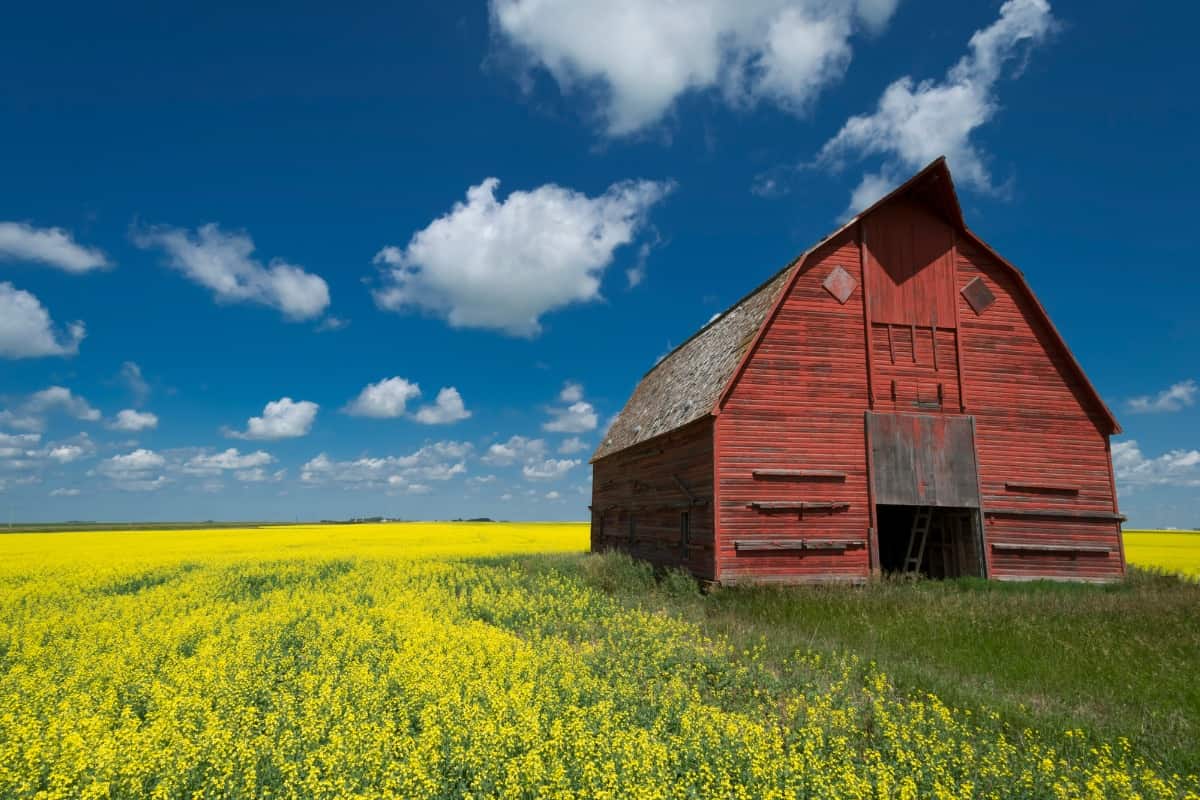 Saskatchewan has held its largest PNP draw of 2022