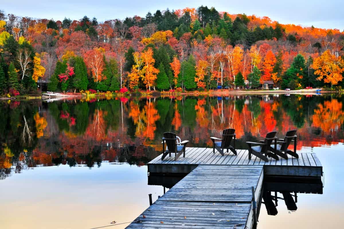 October will be a busy month in Canada's immigration sector