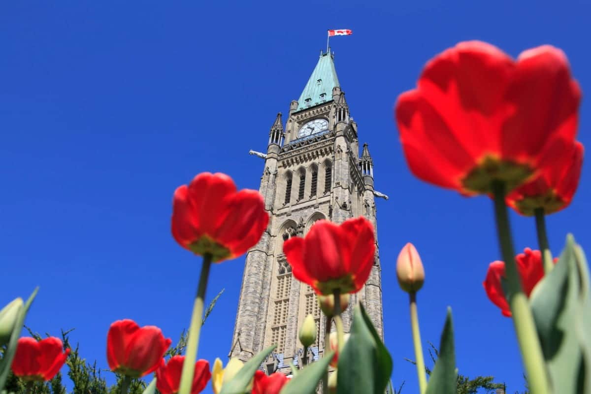 IRCC has announced more support for Turkish and Syrian temporary residents.