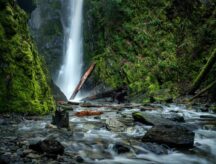 Waterfall near Victoria on Vancouver Island.