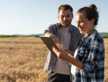 Workers use a tablet with grain growing in the background.