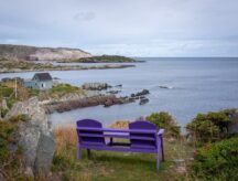 Purple benches overlooking the sea in the town of Keels, Newfoundland