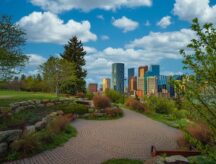 The Calgary skyline below a cloudy blue sky, with portions of a park visible in the foreground.