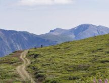 A beautiful landscape in Yukon