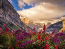 A picture of a sunset in a valley on a summer evening