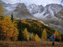 Hiker in a blue jacket looking facing towards a mountain range in Kananaskis and Canmore (Alberta) on an autumn day.