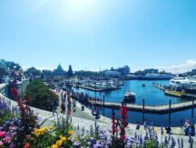 The waterfront in Victoria, British Columbia