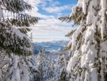 Winter in Lake Squamish viewed through two trees